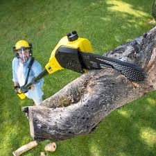 Best Commercial Tree Services  in Lake Andes, SD